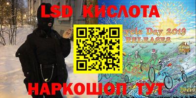 крисы Гагарин