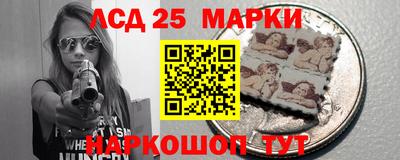 шишки Гатчина