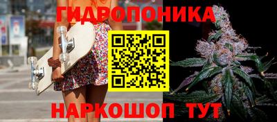 индика Гай