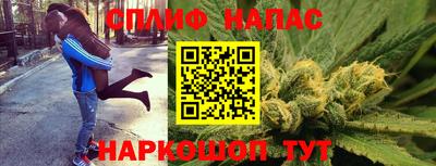 шишки Гатчина