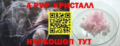 шишки Гатчина