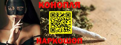 шишки Гатчина