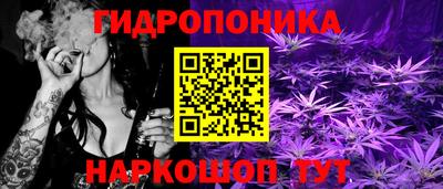 шишки Гатчина