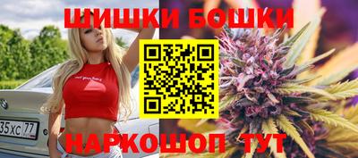 индика Гай