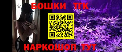 крисы Гагарин