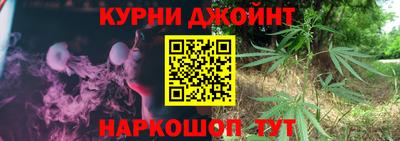 крисы Гагарин