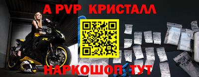 крисы Гагарин