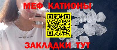 шишки Гатчина